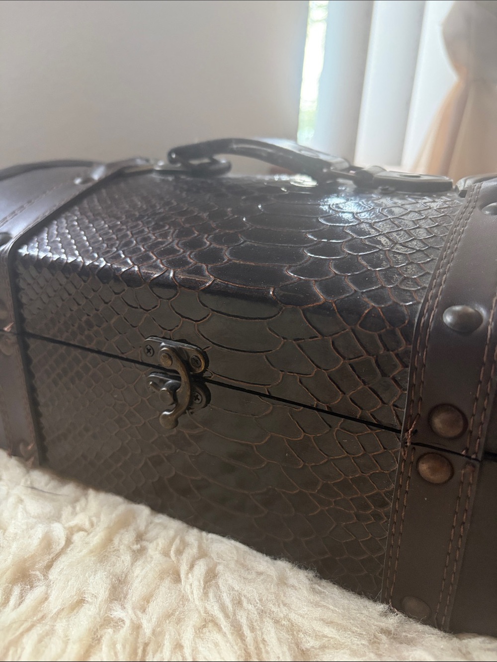 Vintage-Style Brown Leather Travel Chest Bag